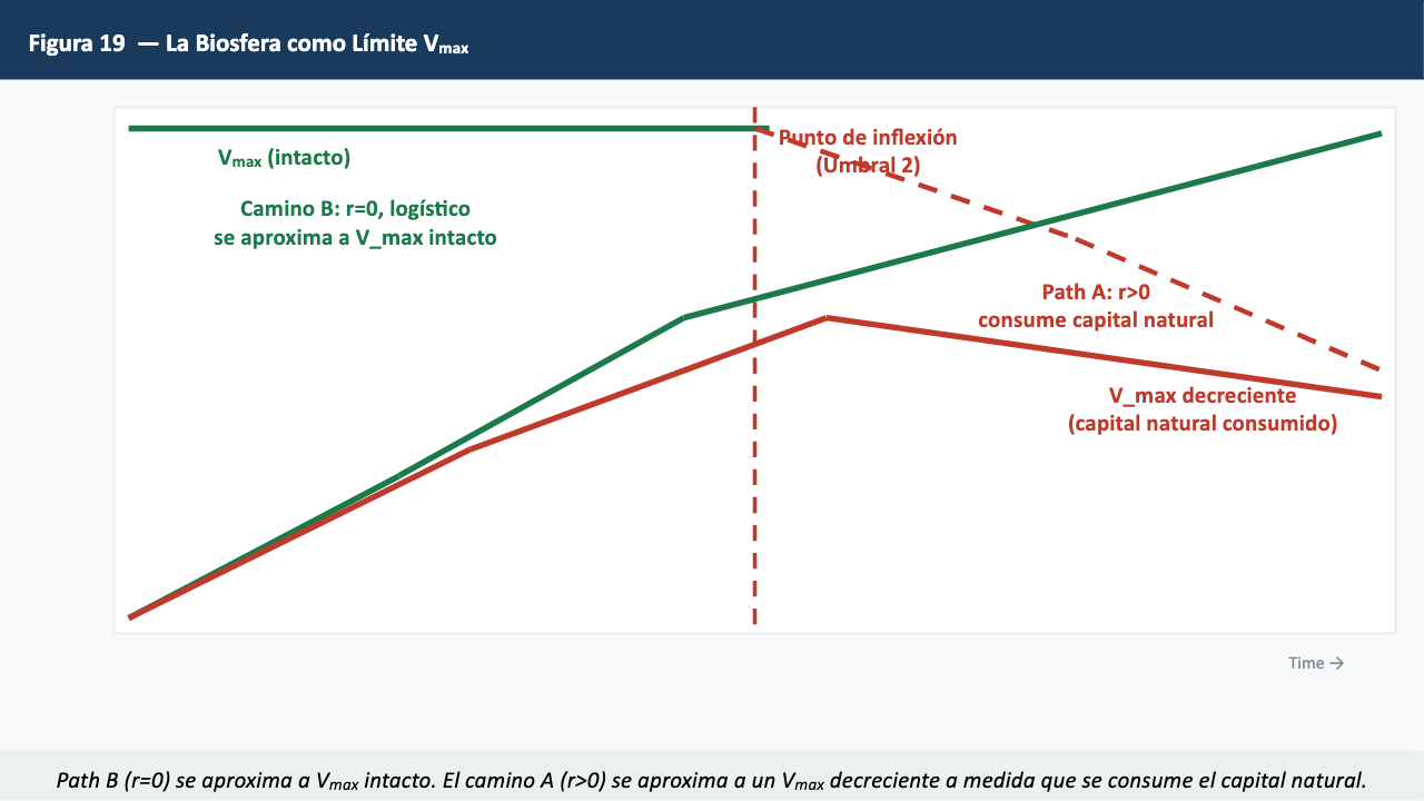 Figura 19 — La Biosfera como Límite Vmax
